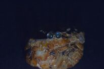 Srebrne kolczyki sztyfty z labradorytem minimalizm Srebro 925 niebieska poświata - 10