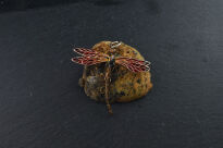 Zawieszka Ważka Czerwona Srebro 925 - 3